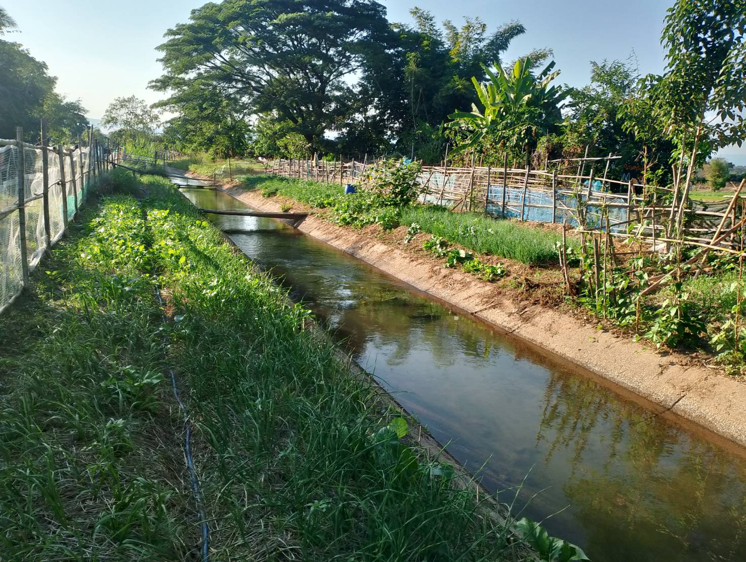 พญาแก้วร่วมใจ! ปลูกผักสวนครัว รังสรรความมั่นคงทางอาหารสู่ทุกครัวเรือน🌱